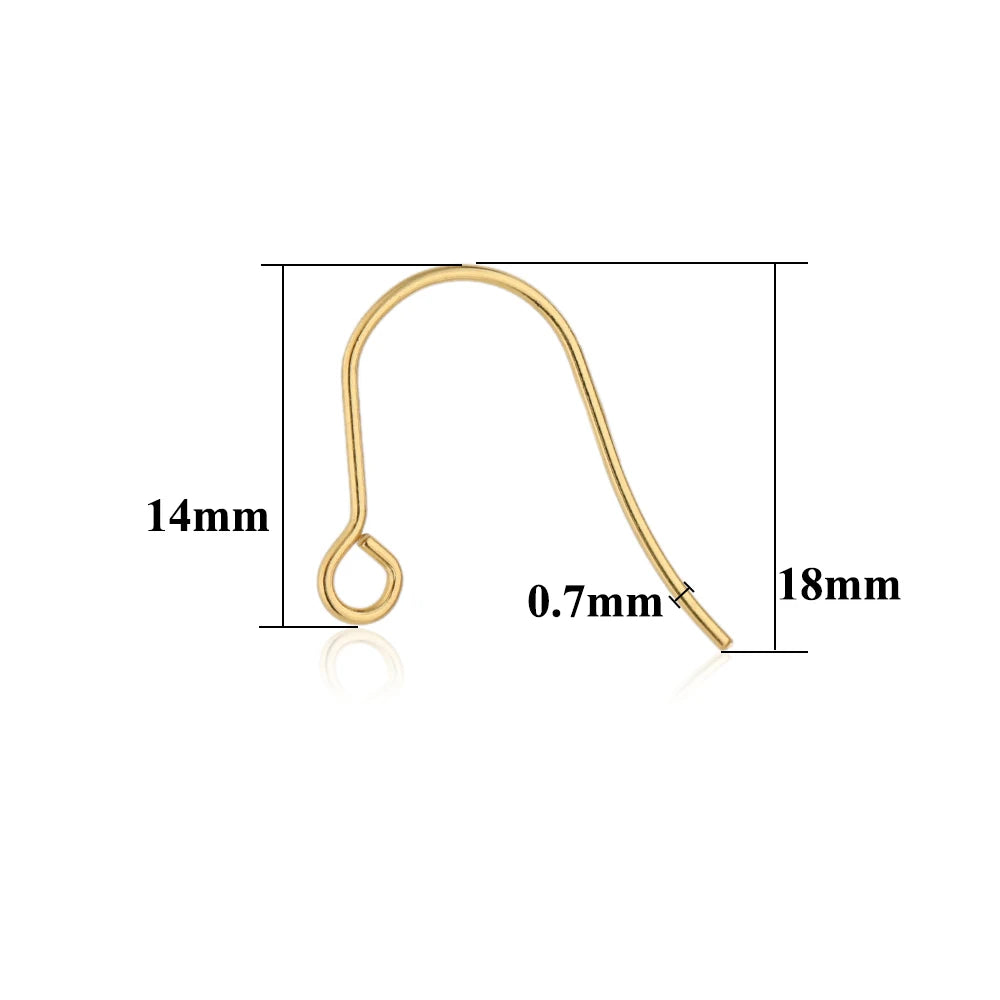 100pcs Stainless Steel Earring Hooks Classic Ear Wires for Crafts Earring Findings Diy Jewelry Accessories Wholesale