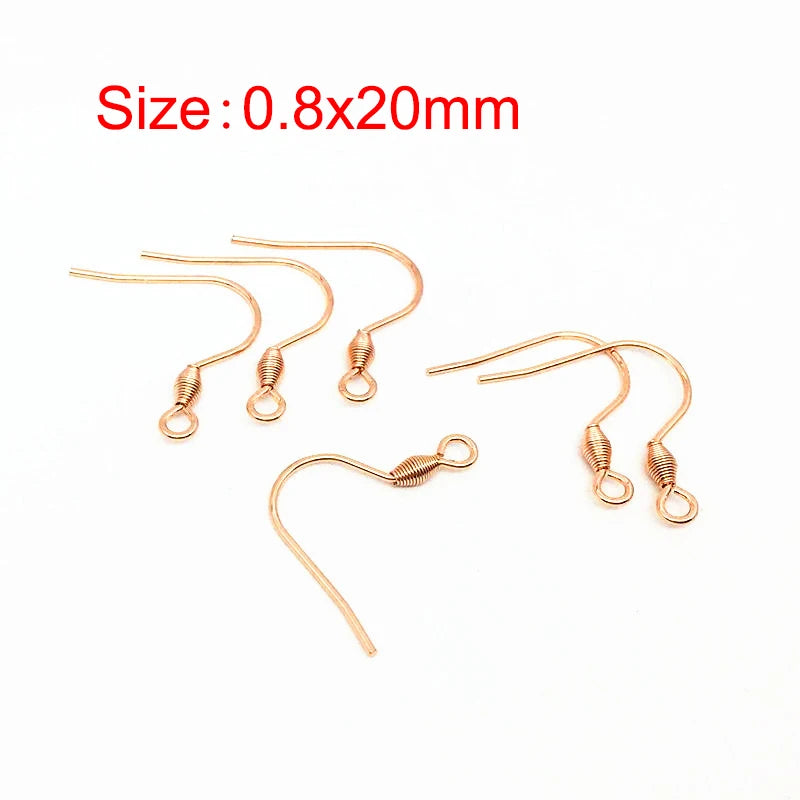 50Pcs Hypoallergenic Surgical Stainless Steel Multi Design Blank Ear Wire Fish Hooks for DIY Earring Jewelry Making Findings