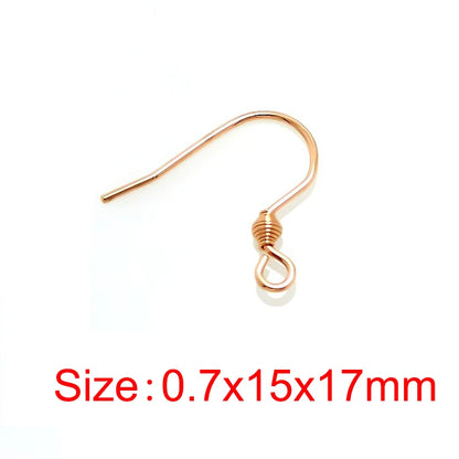 50Pcs Hypoallergenic Surgical Stainless Steel Multi Design Blank Ear Wire Fish Hooks for DIY Earring Jewelry Making Findings