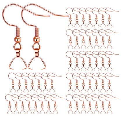 Earring Hooks 50 PCS/25 Pairs, Stainless Steel Ear Wires Fish Hooks